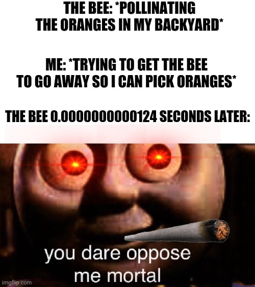 You dare oppose me mortal | THE BEE: *POLLINATING THE ORANGES IN MY BACKYARD*; ME: *TRYING TO GET THE BEE TO GO AWAY SO I CAN PICK ORANGES*; THE BEE 0.0000000000124 SECONDS LATER: | image tagged in you dare oppose me mortal | made w/ Imgflip meme maker