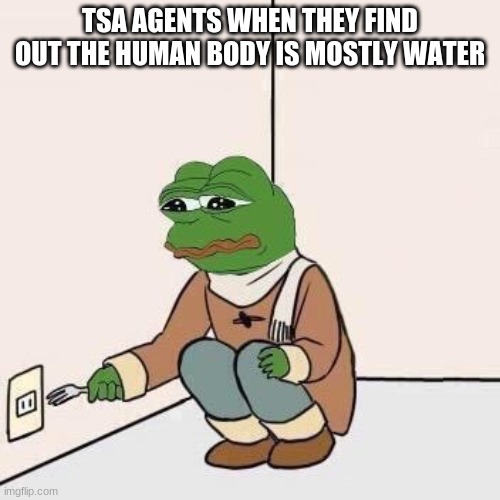 Sad Pepe Suicide | TSA AGENTS WHEN THEY FIND OUT THE HUMAN BODY IS MOSTLY WATER | image tagged in sad pepe suicide | made w/ Imgflip meme maker
