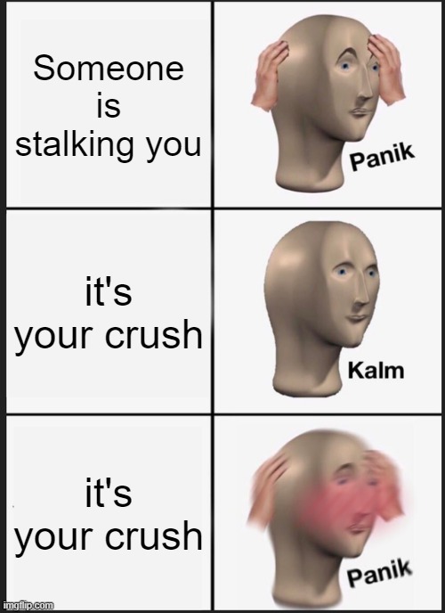 Panik Kalm Panik | Someone is stalking you; it's your crush; it's your crush | image tagged in memes,panik kalm panik | made w/ Imgflip meme maker
