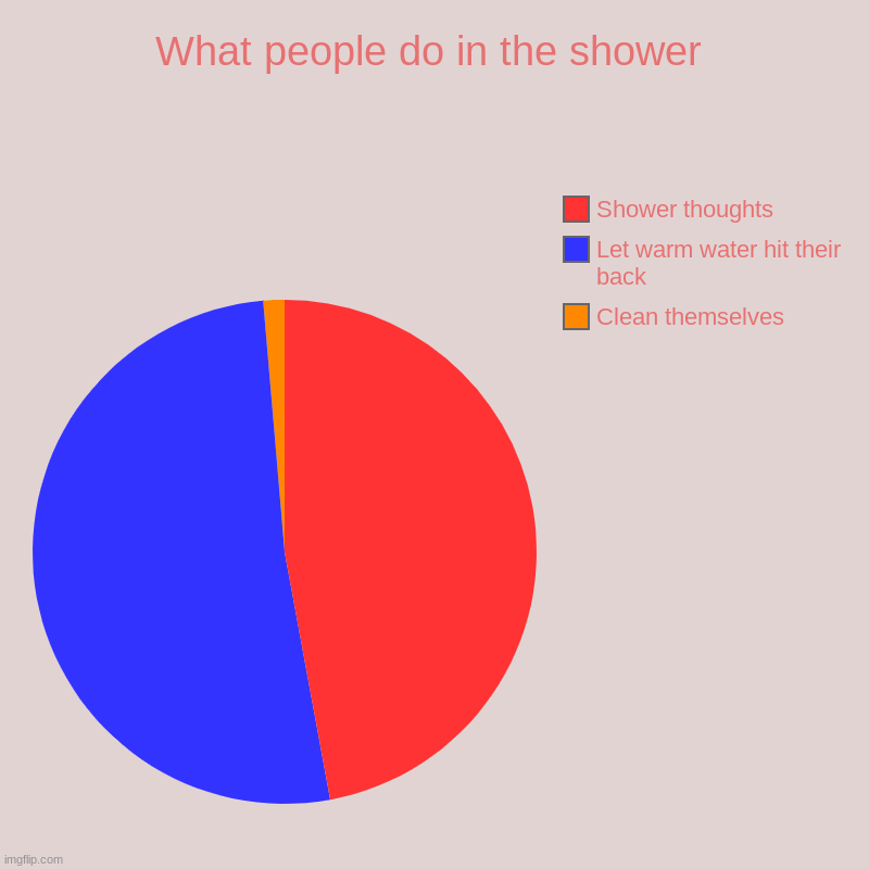 What people do in the shower | Clean themselves, Let warm water hit their back, Shower thoughts | image tagged in charts,pie charts | made w/ Imgflip chart maker