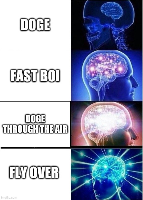 Expanding Brain Meme | DOGE; FAST BOI; DOGE THROUGH THE AIR; FLY OVER | image tagged in memes,expanding brain | made w/ Imgflip meme maker