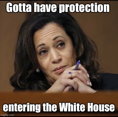 Kamala Harris  | Gotta have protection entering the White House | image tagged in kamala harris | made w/ Imgflip meme maker