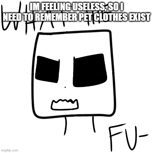 What the fu- | IM FEELING USELESS, SO I NEED TO REMEMBER PET CLOTHES EXIST | image tagged in what the fu- | made w/ Imgflip meme maker