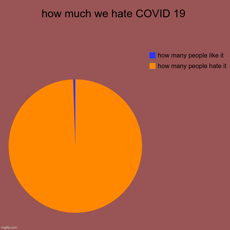 how much we hate COVID 19 | how many people hate it, how many people like it | image tagged in charts,pie charts | made w/ Imgflip chart maker