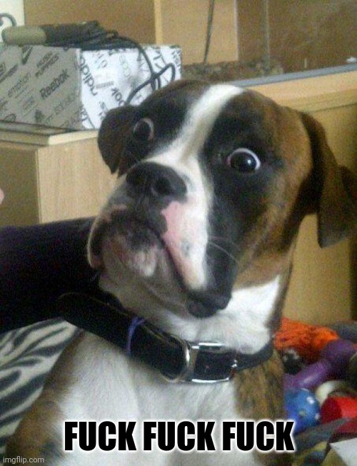 Blankie the Shocked Dog | FUCK FUCK FUCK | image tagged in blankie the shocked dog | made w/ Imgflip meme maker