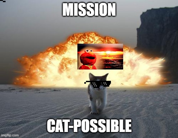 catted up | MISSION; CAT-POSSIBLE | image tagged in cat explosion | made w/ Imgflip meme maker