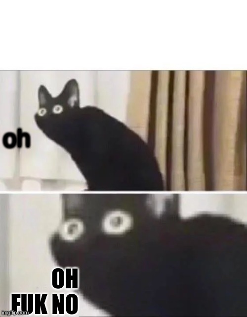 Oh No Black Cat | oh OH FUK NO | image tagged in oh no black cat | made w/ Imgflip meme maker