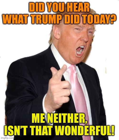 The calm after the storm | DID YOU HEAR WHAT TRUMP DID TODAY? ME NEITHER, ISN’T THAT WONDERFUL! | image tagged in donald trump,maga,twitter,loud,fascist,gone | made w/ Imgflip meme maker
