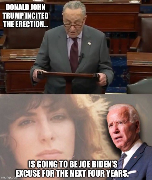 Incited the Erection | DONALD JOHN TRUMP INCITED THE ERECTION... IS GOING TO BE JOE BIDEN’S EXCUSE FOR THE NEXT FOUR YEARS. | image tagged in creepy joe biden,tara reade,sexual harassment | made w/ Imgflip meme maker
