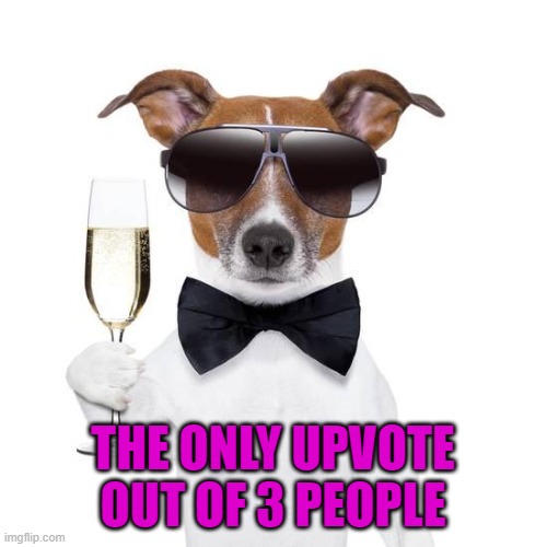 THE ONLY UPVOTE OUT OF 3 PEOPLE | made w/ Imgflip meme maker