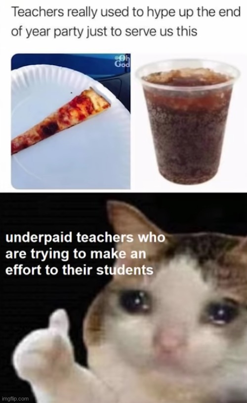 Man, I wish back in Elementary I could lend a hand in parties because my teachers were loving(not my photos, just a meme I found | image tagged in teachers,sad cat thumbs up,grateful | made w/ Imgflip meme maker