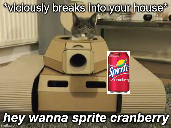 sprite cranberry meme 2021 | *viciously breaks into your house*; hey wanna sprite cranberry | image tagged in cats,wanna sprite cranberry,tank | made w/ Imgflip meme maker