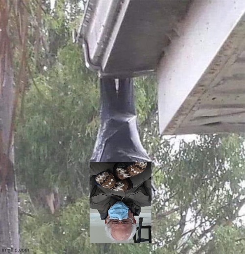 Bernie Bat. | image tagged in bernie mittens,bernie sanders | made w/ Imgflip meme maker