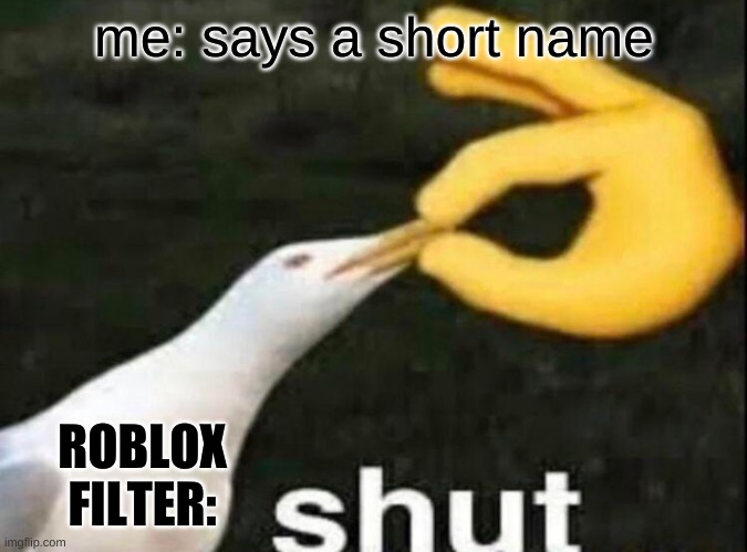 SHUT | me: says a short name; ROBLOX FILTER: | image tagged in shut | made w/ Imgflip meme maker