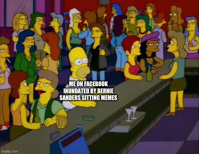 homer simpson me on facebook | ME ON FACEBOOK INUNDATED BY BERNIE SANDERS SITTING MEMES | image tagged in homer simpson me on facebook | made w/ Imgflip meme maker