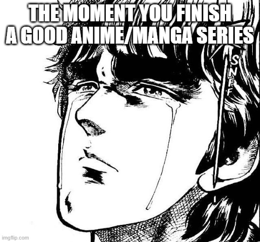 Anime crying | THE MOMENT YOU FINISH A GOOD ANIME/MANGA SERIES | image tagged in anime crying | made w/ Imgflip meme maker