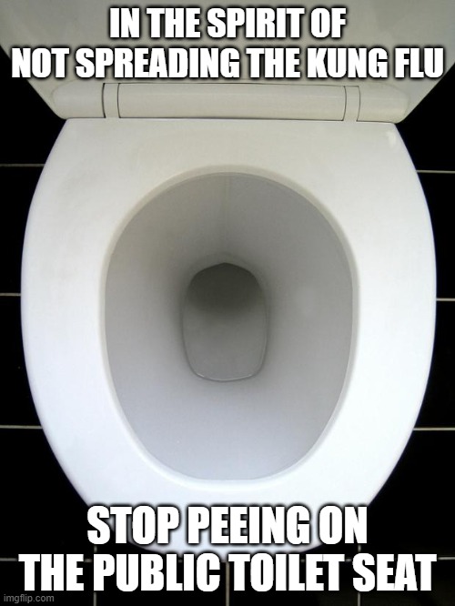 Among other things.... | IN THE SPIRIT OF NOT SPREADING THE KUNG FLU; STOP PEEING ON THE PUBLIC TOILET SEAT | image tagged in toilet,kung flu,pee,covid 19,corona virus,not funny | made w/ Imgflip meme maker
