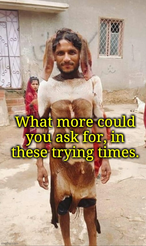 This guy... he's immune. | What more could you ask for, in these trying times. | made w/ Imgflip meme maker