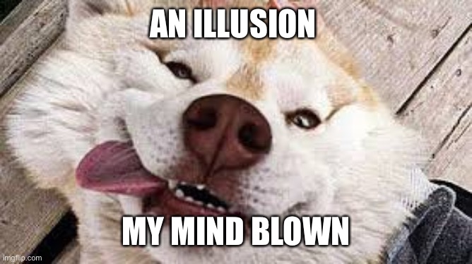 blown away dog | AN ILLUSION MY MIND BLOWN | image tagged in blown away dog | made w/ Imgflip meme maker