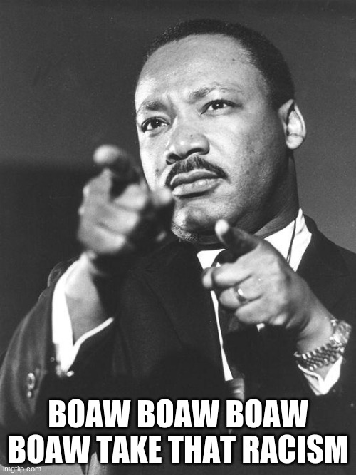 martin Luther King Jr  | BOAW BOAW BOAW BOAW TAKE THAT RACISM | image tagged in martin luther king jr | made w/ Imgflip meme maker