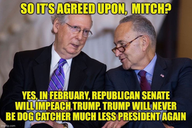 Trump future is bleak | SO IT’S AGREED UPON,  MITCH? YES, IN FEBRUARY, REPUBLICAN SENATE WILL IMPEACH TRUMP. TRUMP WILL NEVER BE DOG CATCHER MUCH LESS PRESIDENT AGAIN | image tagged in donald trump,mitch mcconnell,impeachment,impeach trump,finished,maga | made w/ Imgflip meme maker