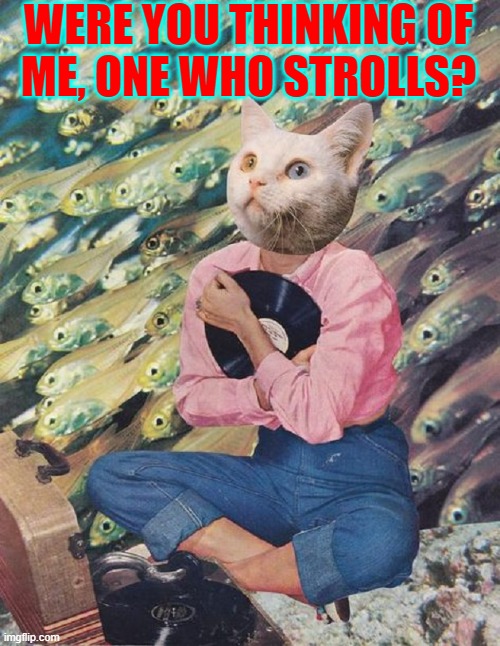WERE YOU THINKING OF
ME, ONE WHO STROLLS? | made w/ Imgflip meme maker