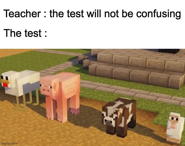 Good thing i'm a Minecraft veteran... | Teacher : the test will not be confusing; The test : | image tagged in minecraft,funny memes,what the hell happened here,farm animals | made w/ Imgflip meme maker