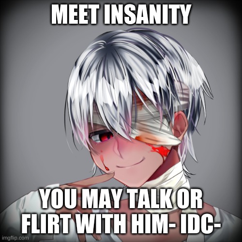 MEET INSANITY; YOU MAY TALK OR FLIRT WITH HIM- IDC- | made w/ Imgflip meme maker