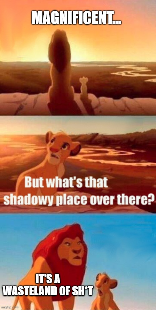 the most random thing ever but idc | MAGNIFICENT... IT'S A WASTELAND OF SH*T | image tagged in memes,simba shadowy place | made w/ Imgflip meme maker