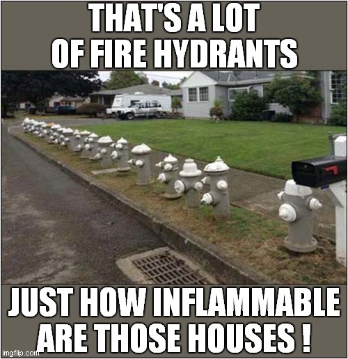 A High Fire Risk ! | THAT'S A LOT OF FIRE HYDRANTS; JUST HOW INFLAMMABLE ARE THOSE HOUSES ! | image tagged in fun,fire hydrant,fire | made w/ Imgflip meme maker