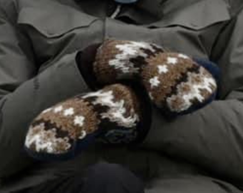 High Quality Mittens Blank Meme Template