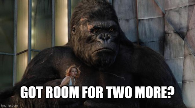 King kong | GOT ROOM FOR TWO MORE? | image tagged in king kong | made w/ Imgflip meme maker