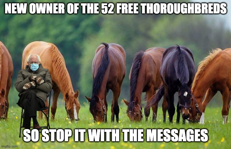 Bernie and the 52 Free Thoroughbreds | NEW OWNER OF THE 52 FREE THOROUGHBREDS; SO STOP IT WITH THE MESSAGES | image tagged in horses | made w/ Imgflip meme maker