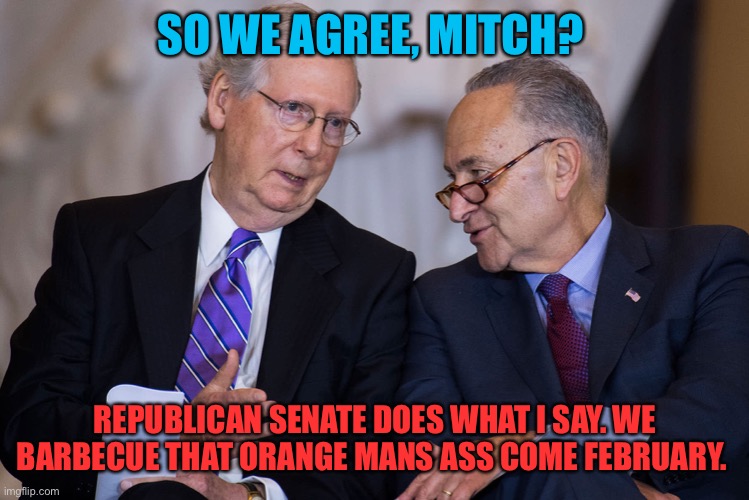 SO WE AGREE, MITCH? REPUBLICAN SENATE DOES WHAT I SAY. WE BARBECUE THAT ORANGE MANS ASS COME FEBRUARY. | made w/ Imgflip meme maker