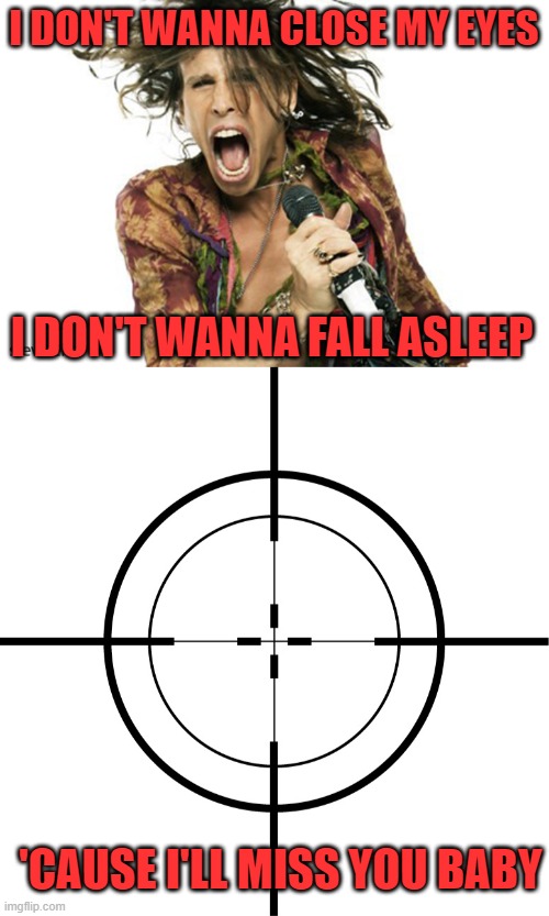 And I don't want to miss again. | I DON'T WANNA CLOSE MY EYES; I DON'T WANNA FALL ASLEEP; 'CAUSE I'LL MISS YOU BABY | image tagged in steve tyler aerosmith,crosshairs,funny memes,dark humor,ex wife | made w/ Imgflip meme maker