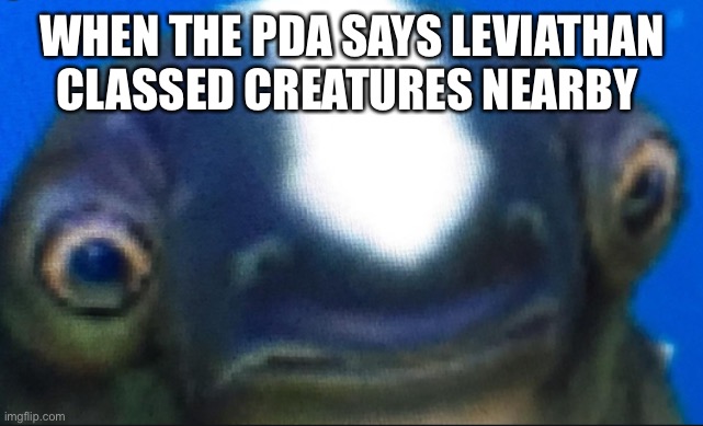 subnautica seamoth cuddlefish | WHEN THE PDA SAYS LEVIATHAN CLASSED CREATURES NEARBY | image tagged in subnautica seamoth cuddlefish | made w/ Imgflip meme maker