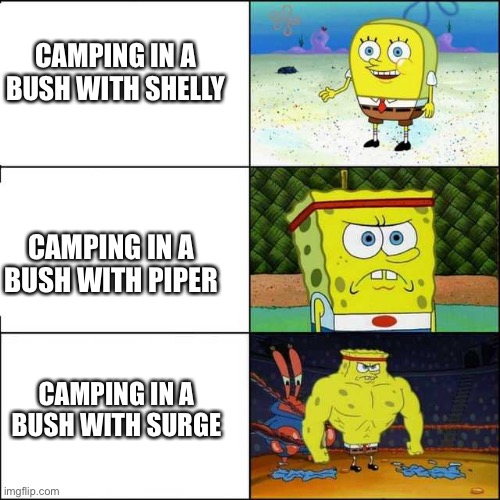 E | CAMPING IN A BUSH WITH SHELLY; CAMPING IN A BUSH WITH PIPER; CAMPING IN A BUSH WITH SURGE | image tagged in spongebob strong | made w/ Imgflip meme maker