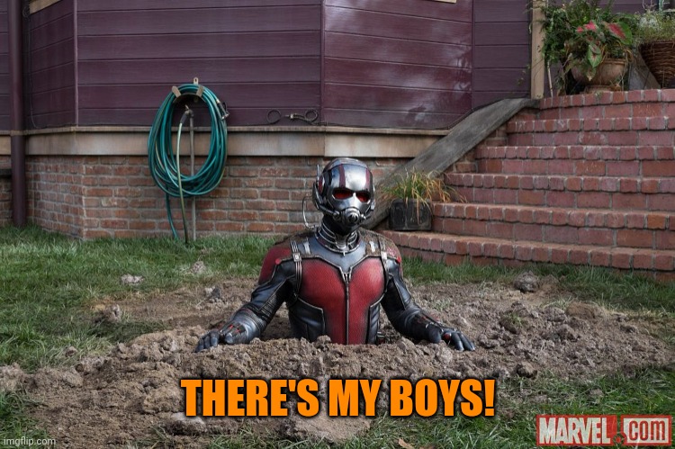 Antman steel | THERE'S MY BOYS! | image tagged in antman steel | made w/ Imgflip meme maker