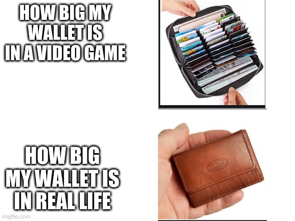 I wish I had that wallet.... | HOW BIG MY WALLET IS IN A VIDEO GAME; HOW BIG MY WALLET IS IN REAL LIFE | image tagged in blank white template,gaming,wallets in gaming | made w/ Imgflip meme maker