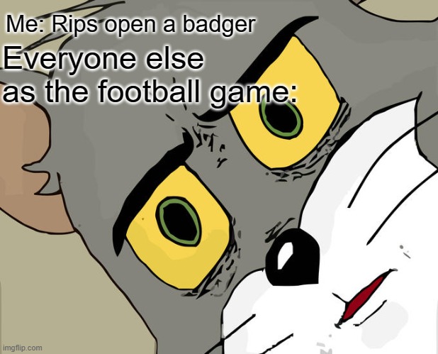 Unsettled Tom | Me: Rips open a badger; Everyone else as the football game: | image tagged in memes,unsettled tom | made w/ Imgflip meme maker