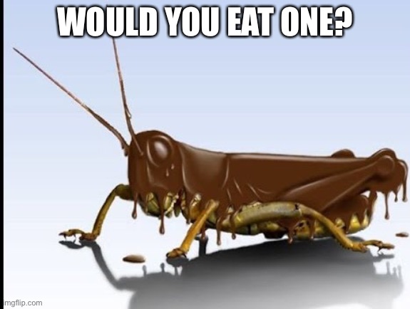 WOULD YOU EAT ONE? | made w/ Imgflip meme maker