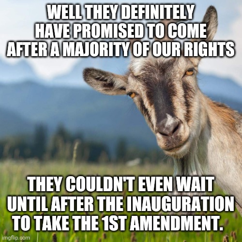 creepy condescending goat | WELL THEY DEFINITELY HAVE PROMISED TO COME AFTER A MAJORITY OF OUR RIGHTS THEY COULDN'T EVEN WAIT UNTIL AFTER THE INAUGURATION TO TAKE THE 1 | image tagged in creepy condescending goat | made w/ Imgflip meme maker