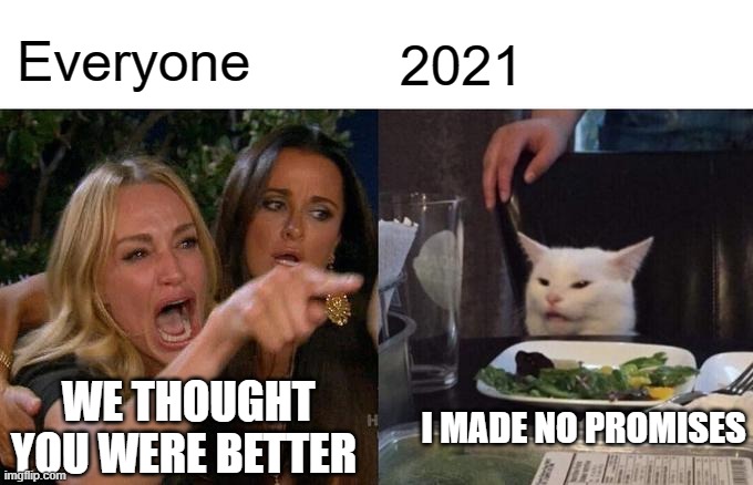 Woman Yelling At Cat Meme | Everyone; 2021; WE THOUGHT YOU WERE BETTER; I MADE NO PROMISES | image tagged in memes,woman yelling at cat | made w/ Imgflip meme maker
