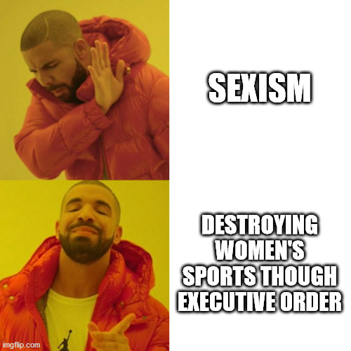 Drake Blank | SEXISM; DESTROYING WOMEN'S SPORTS THOUGH EXECUTIVE ORDER | image tagged in drake blank | made w/ Imgflip meme maker