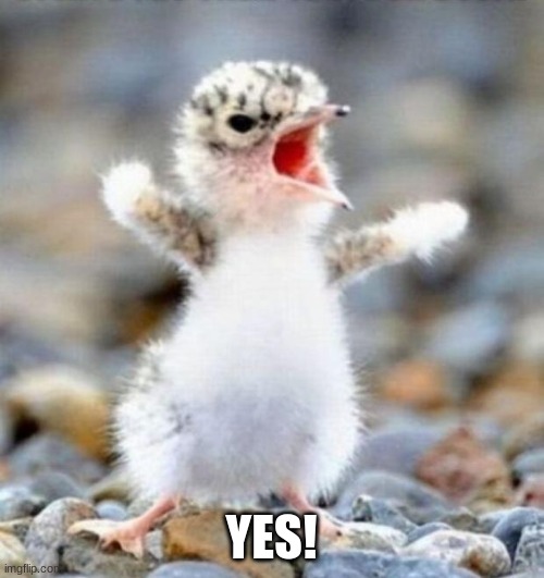 Early Bird!!! | YES! | image tagged in early bird | made w/ Imgflip meme maker