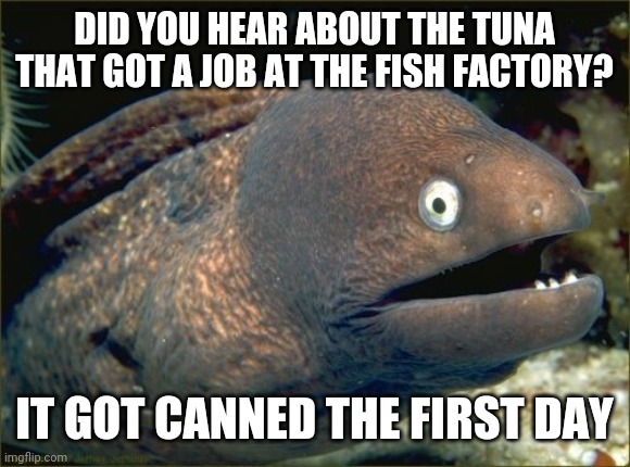 Did this meme flounder? | DID YOU HEAR ABOUT THE TUNA THAT GOT A JOB AT THE FISH FACTORY? IT GOT CANNED THE FIRST DAY | image tagged in memes,bad joke eel,jokes,fish,puns | made w/ Imgflip meme maker
