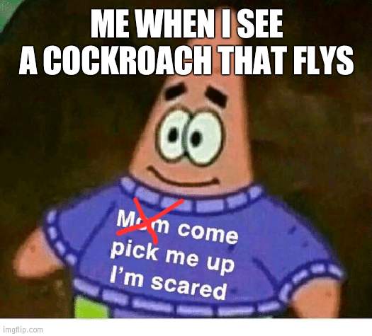 and i accidentally sprayed it with silver paint spray now it looks like a metal roach HELP | ME WHEN I SEE A COCKROACH THAT FLYS | image tagged in mom pick me up i'm scared | made w/ Imgflip meme maker