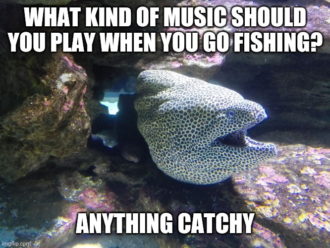 Hopefully the artists you listen to can carry a tune-a...I know I know. I suck. | WHAT KIND OF MUSIC SHOULD YOU PLAY WHEN YOU GO FISHING? ANYTHING CATCHY | image tagged in moray eel,jokes,puns,fishing,outdoors | made w/ Imgflip meme maker