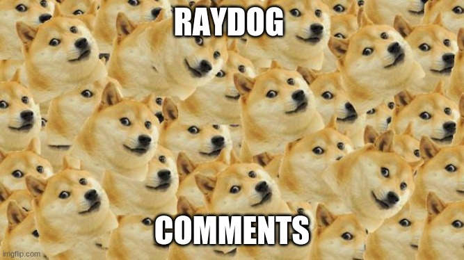 Multi Doge Meme | RAYDOG COMMENTS | image tagged in memes,multi doge | made w/ Imgflip meme maker