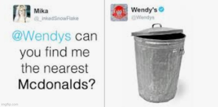 wendy's is the best at roasting people | image tagged in wendy's,roasts | made w/ Imgflip meme maker